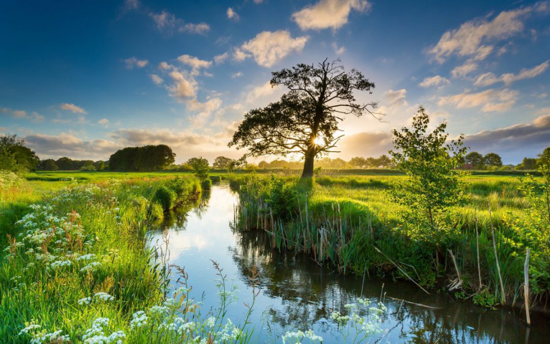 Stichting Promotie Westerwolde